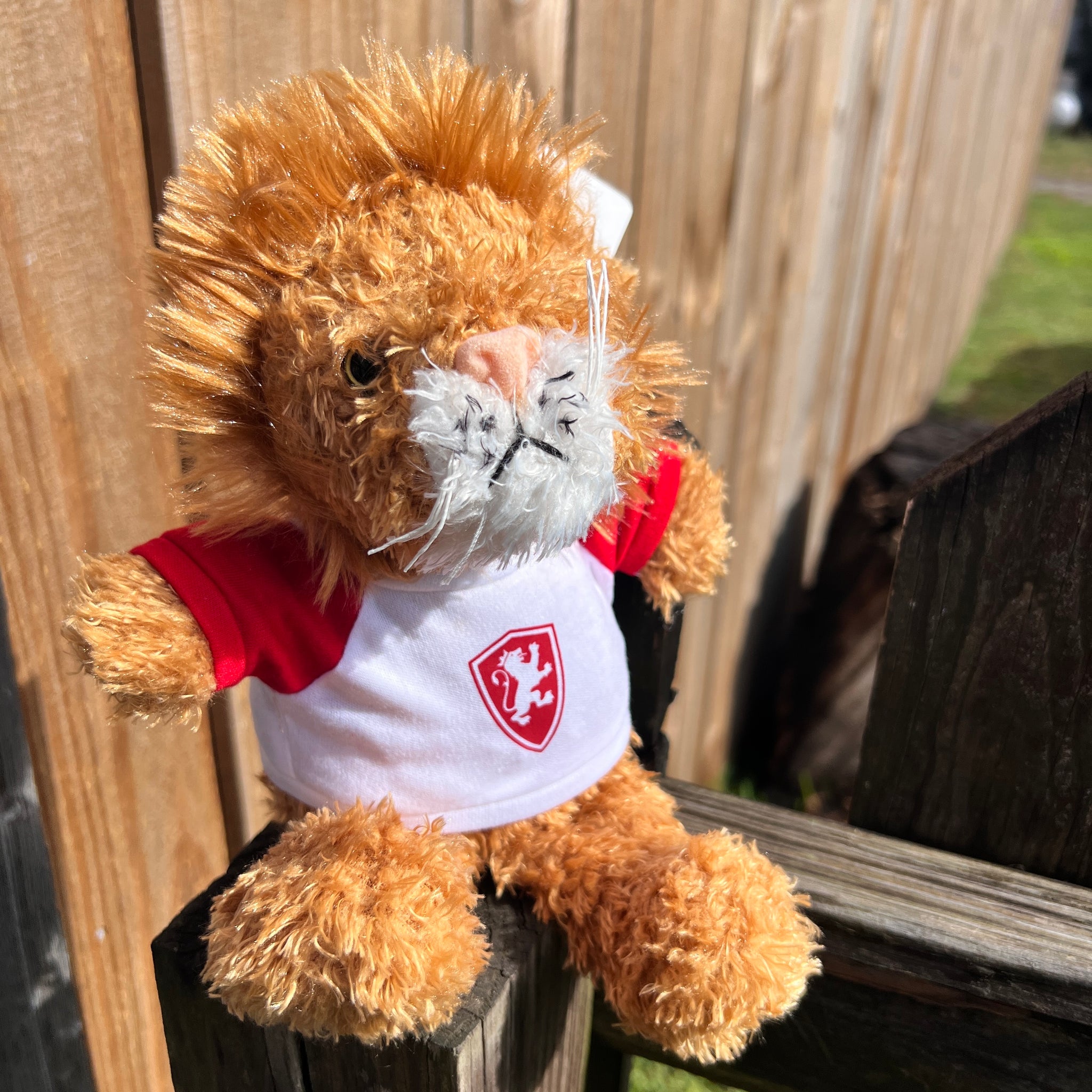 Ruddly Lion