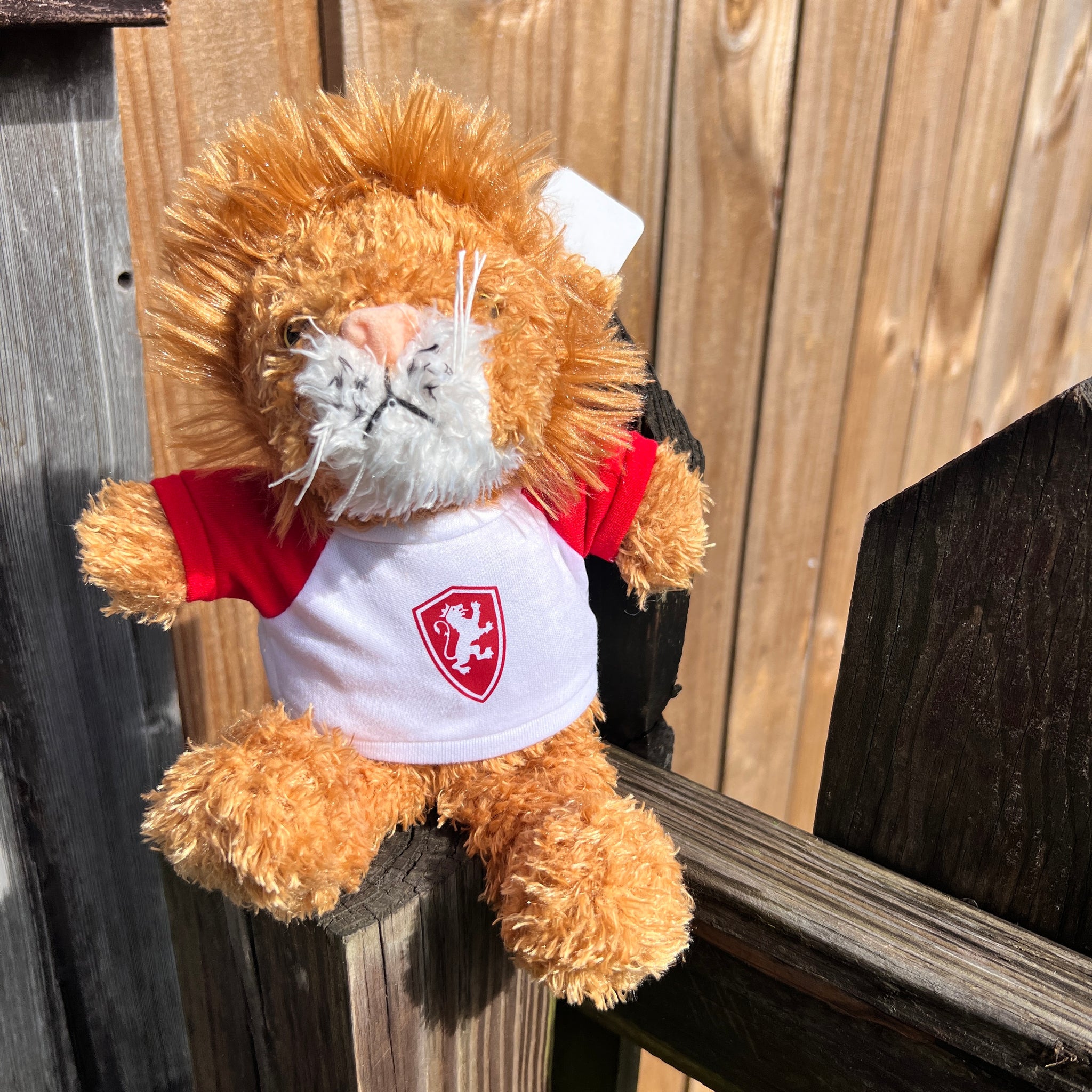 Ruddly Lion