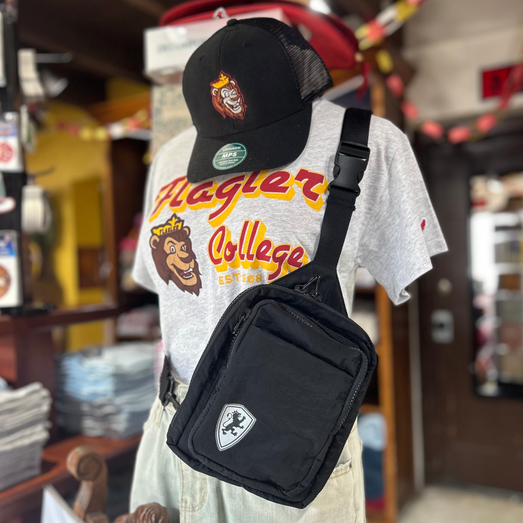 Shield Dash Pack Bag