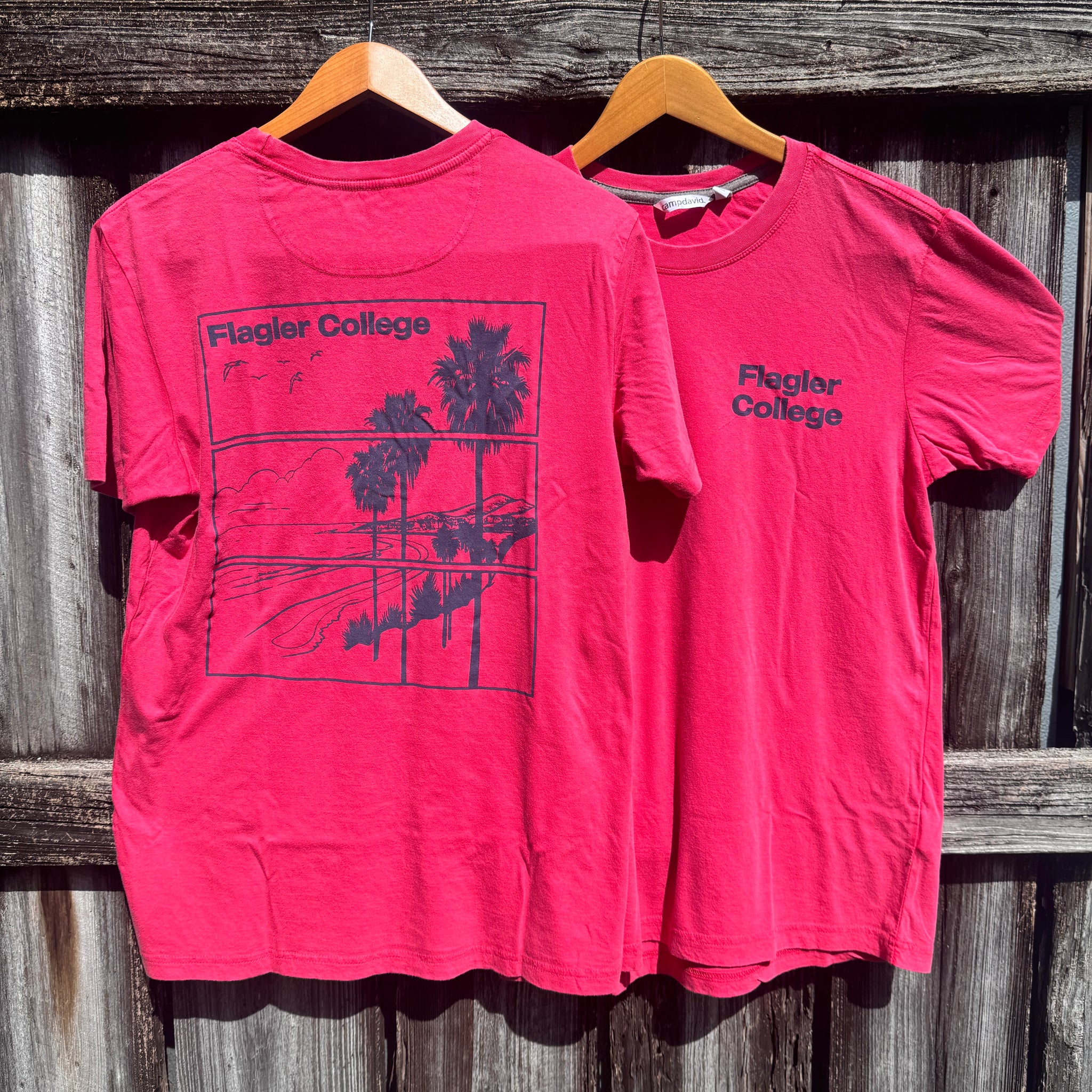 Flagler College Vintage Beach T-Shirt
