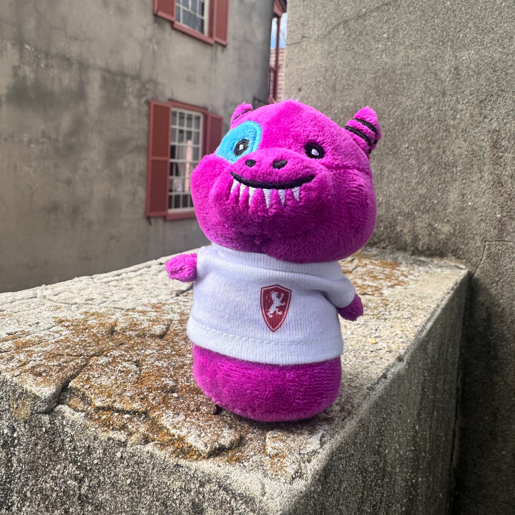 Monster Shortie in Flagler Tee