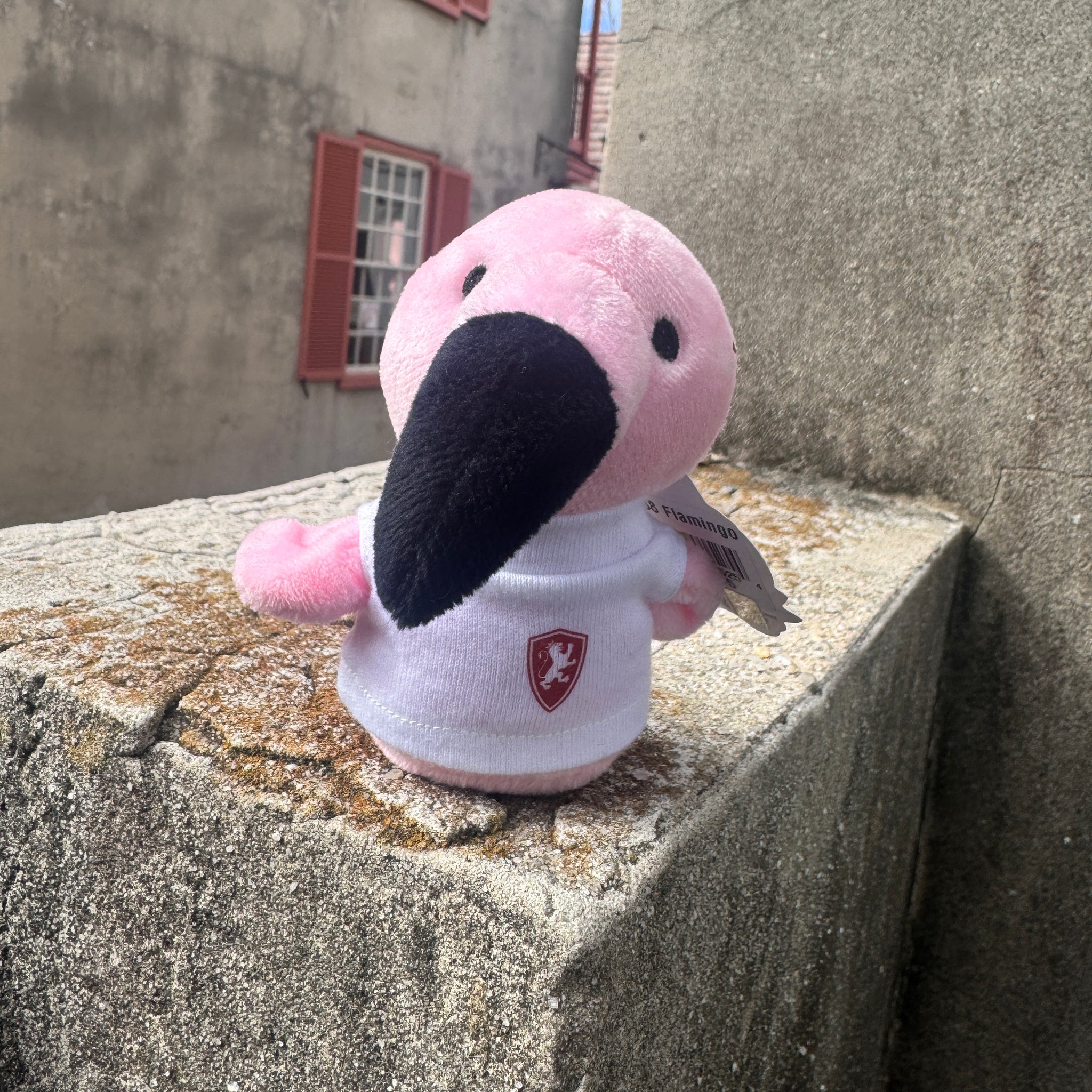 Flamingo Shortie in Flagler Tee