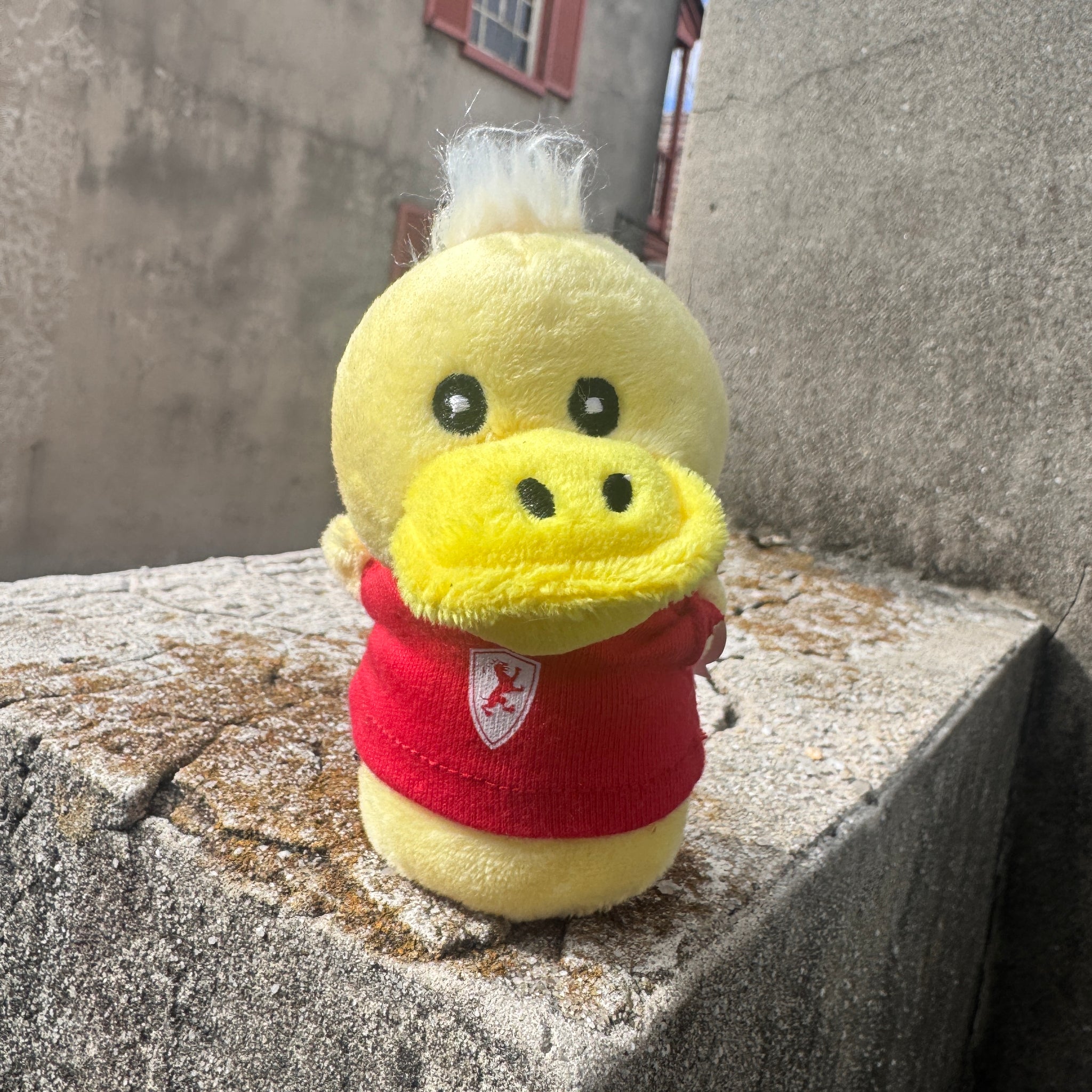 Duck Shortie in Flagler Tee