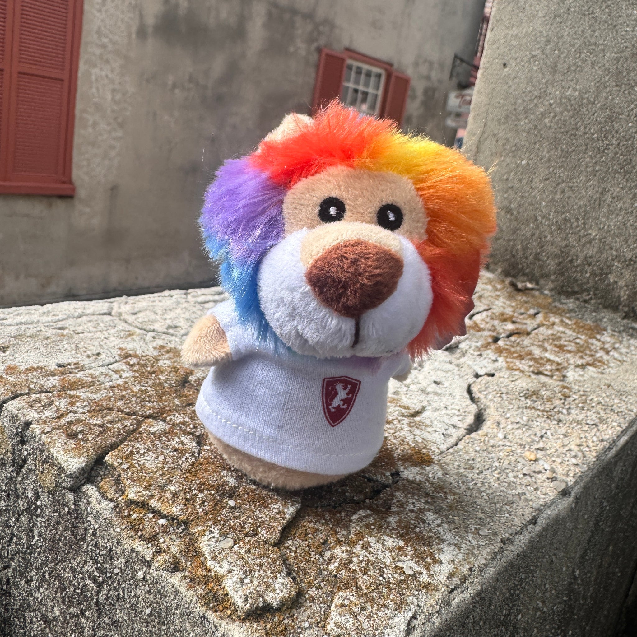 Rainbow Lion Shortie in Flagler Tee