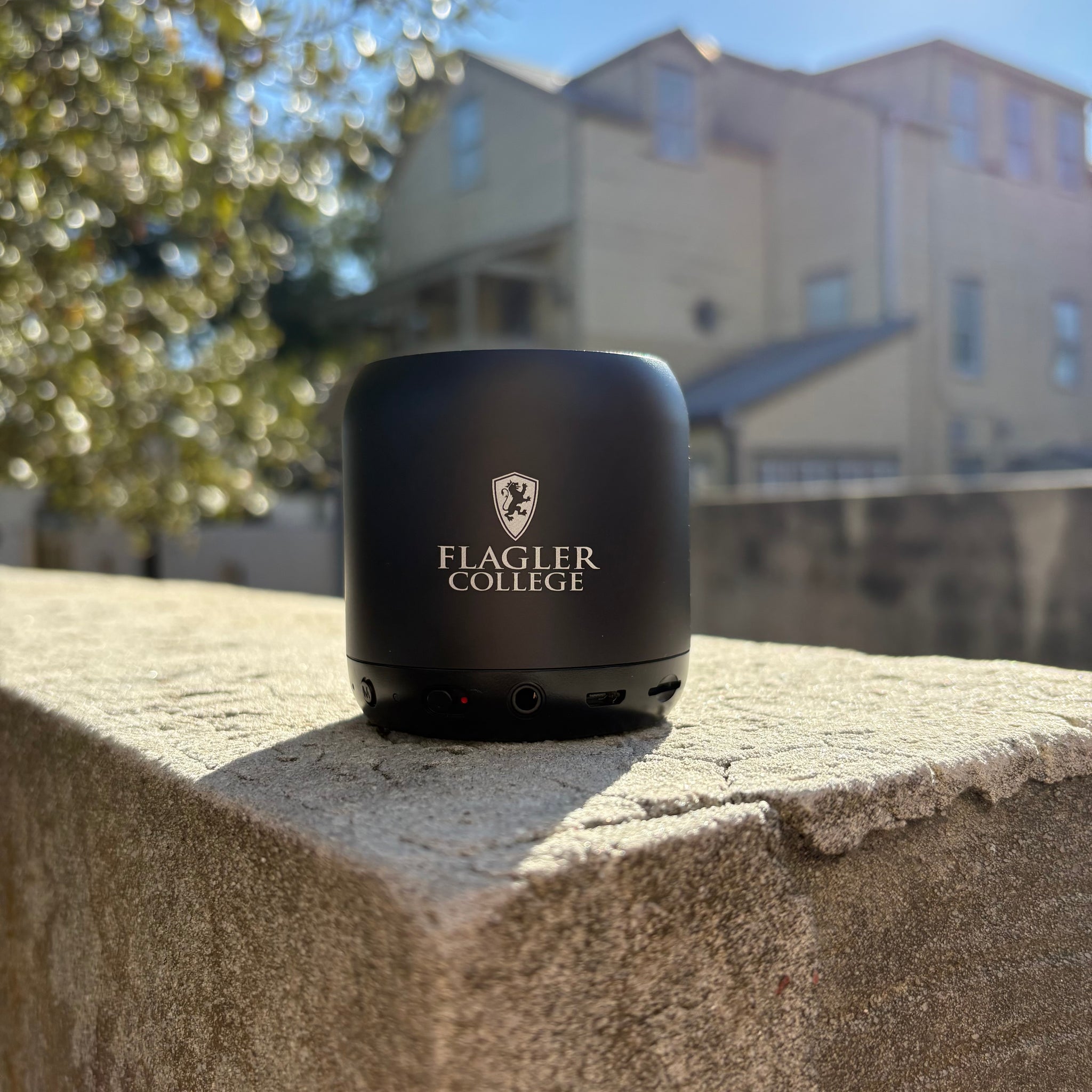 Flagler College Anker Soundcore Mini