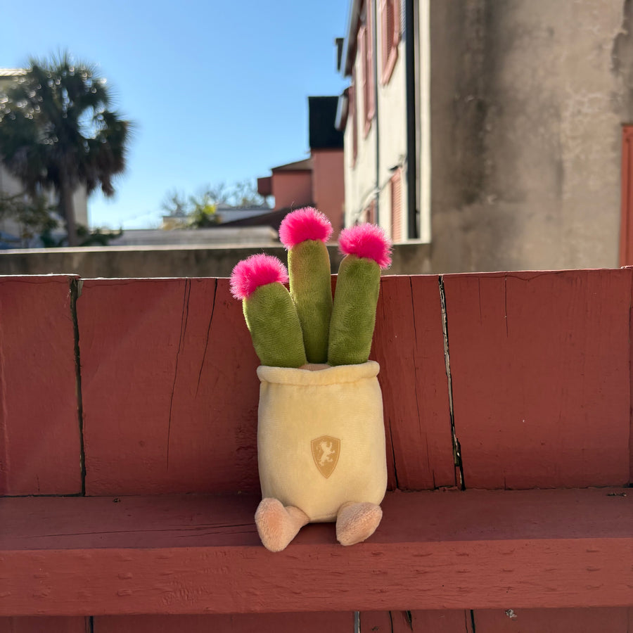 Flagler Shield Plush Potted Plants