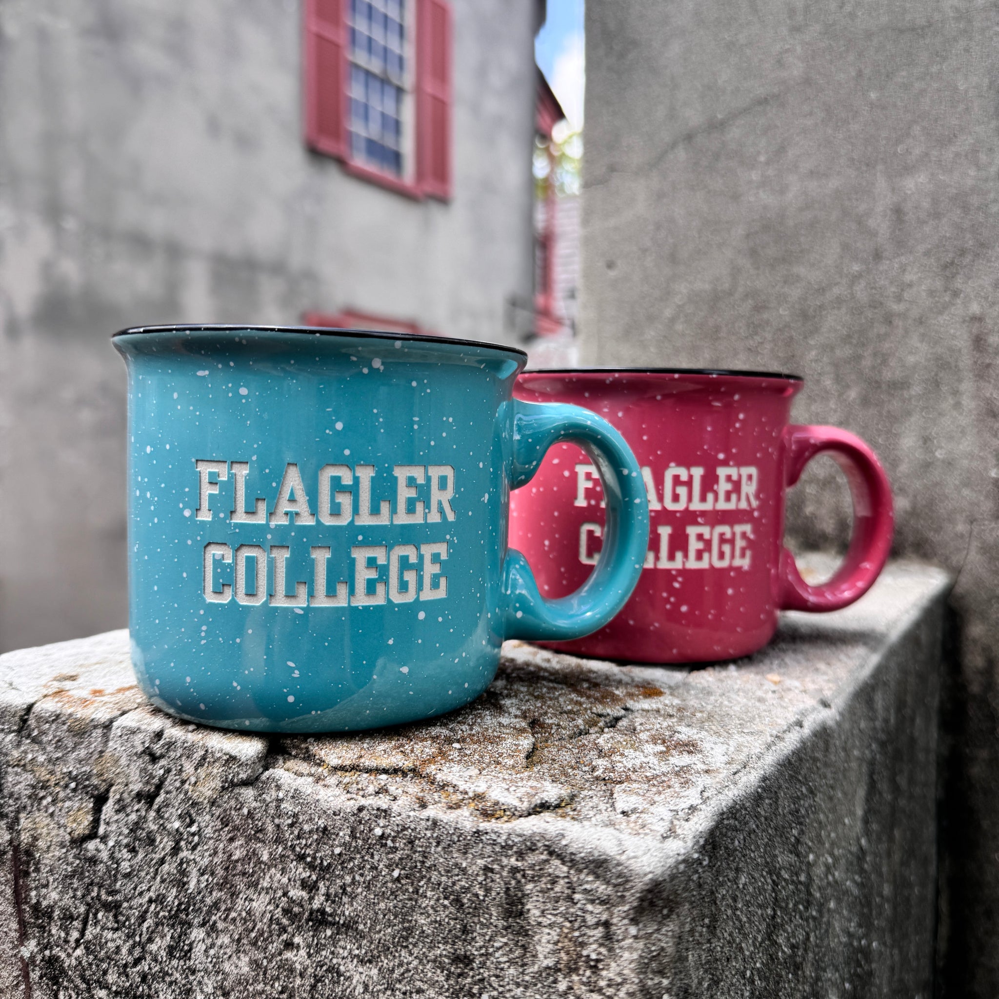 Ember Engraved Camp Mug in Coral & Teal