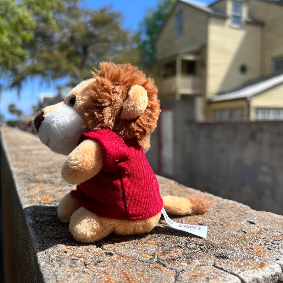 Stubby Lion with T-Shirt