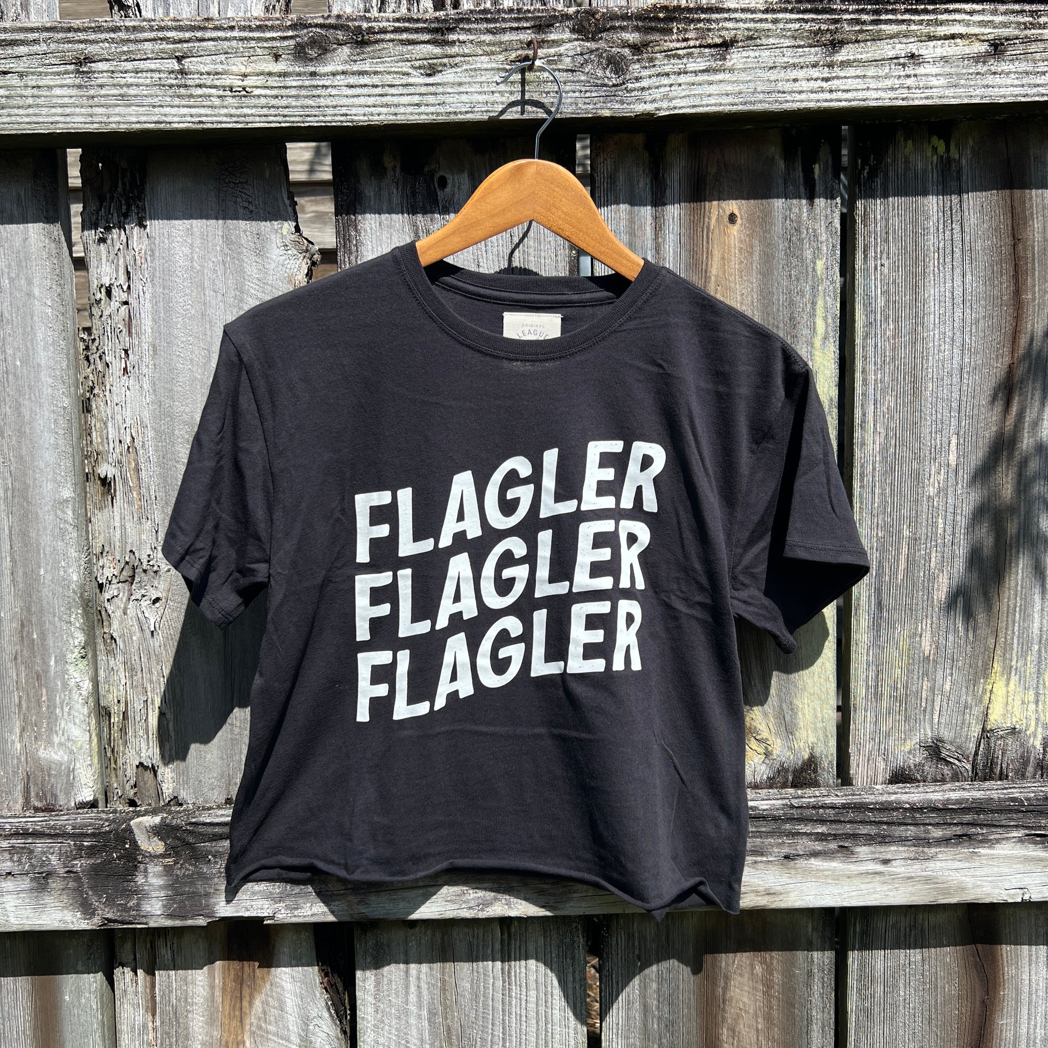 Clothesline Flagler Crop Top