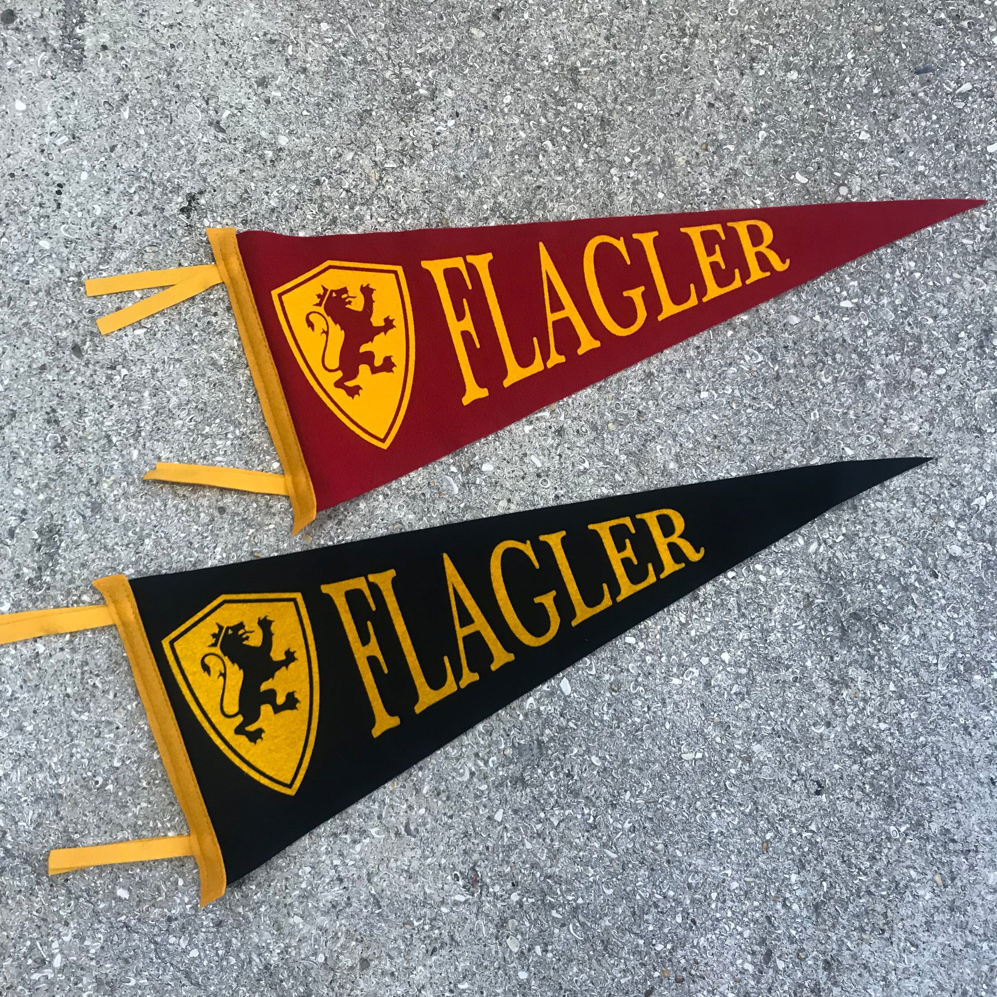 Large Flagler College Pennant